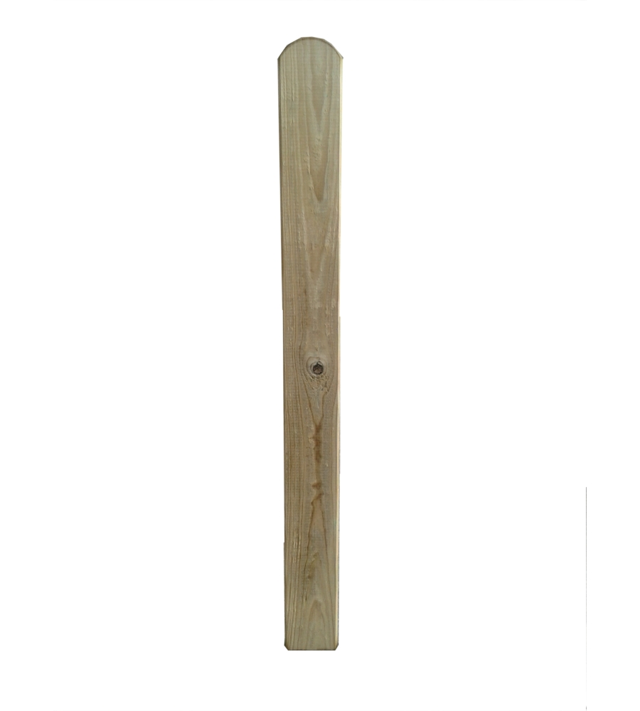 STECCA PER RECINTO DA GIARDINO "ELA" IN LEGNO DI PINO 1,6X9X100 CM